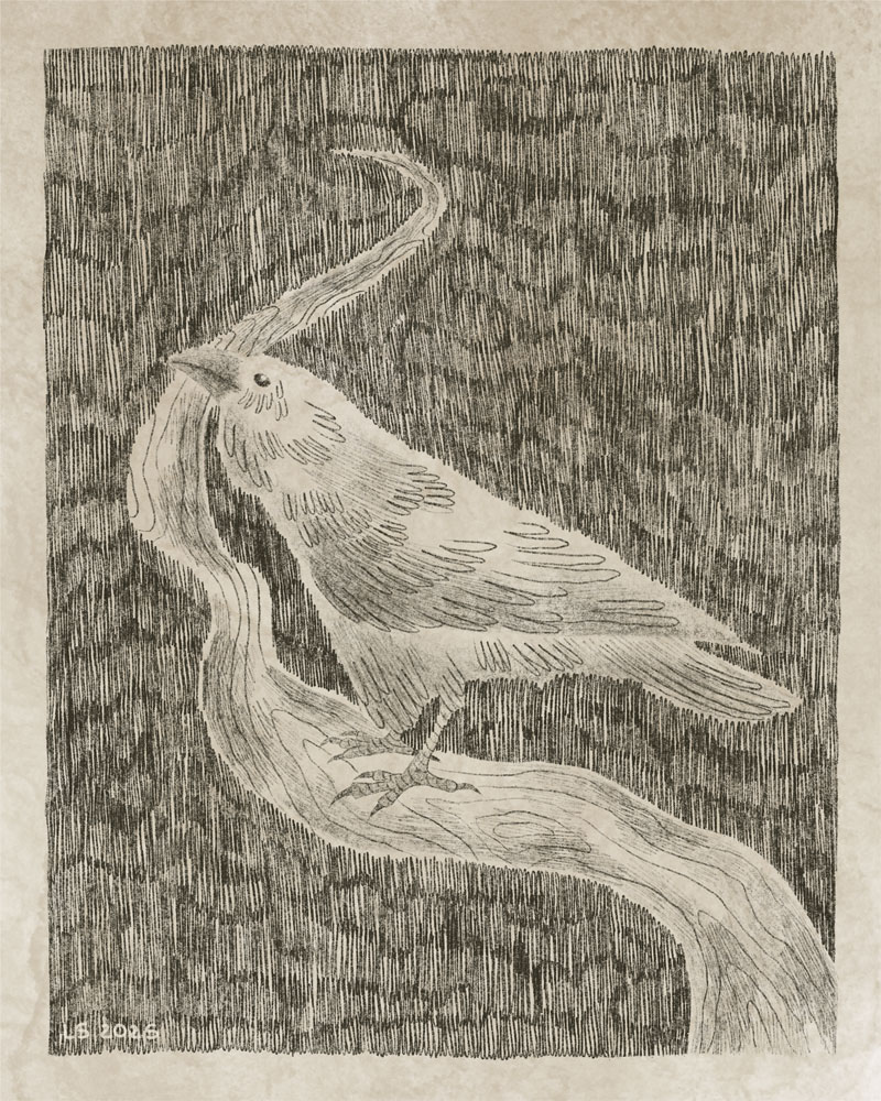 Pencil sketch of a raven on a crooked branch.