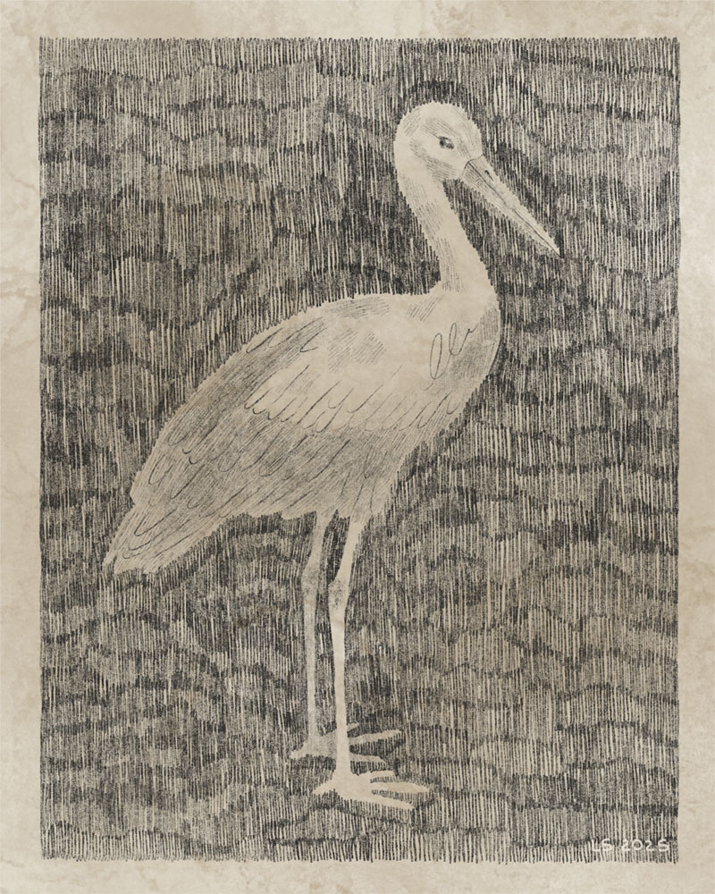 A stork.