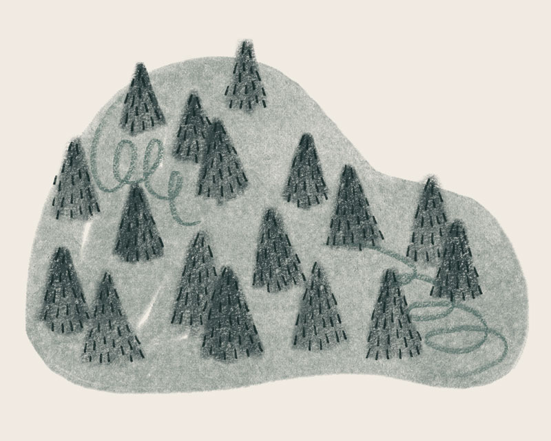 Green mountains, Carpathians, with trees.