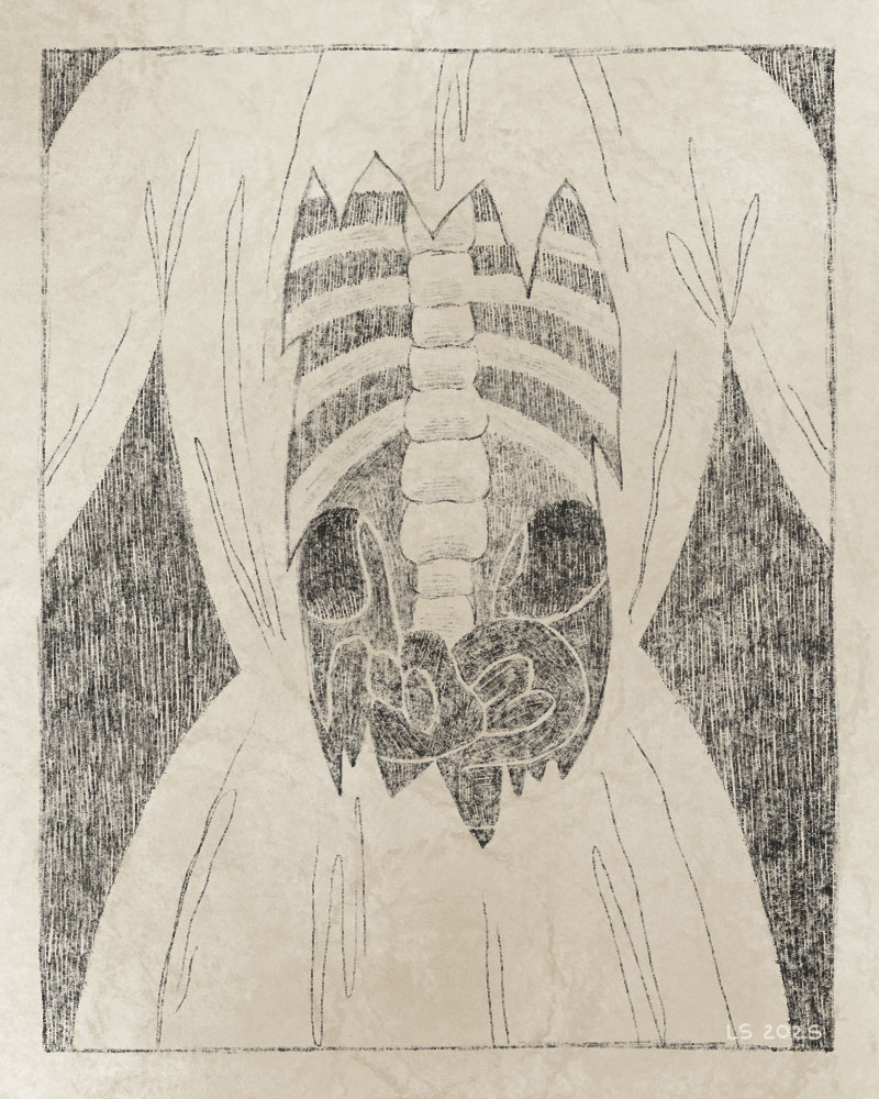 A dress ripped at the back, revealing the body’s insides.